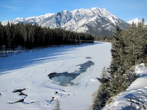 Looking along the Bow River near Banff