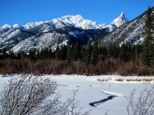 Hot springs keep water open even in the depths of winter