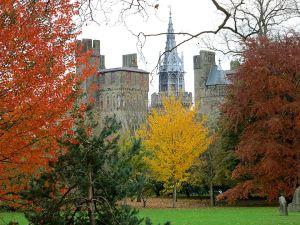 On grey, claggy days I sometimes went down to Cardiff to meet up with friends but even then autumn colours added a brightness to the gloom in Bute Park around the castle.