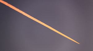 12CherryHinton040w9017