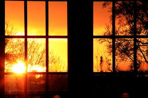 12CherryHinton045w9186