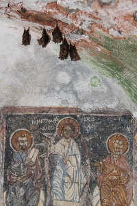 Some tiny kalderimi-side family churches have well preserved frescoes ... and small colonies of horseshoe bats.
