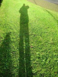 12Monmouthshire041w0369