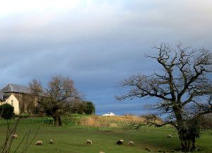 Perhaps this hilltop farm should be called Ararat, but it's just an abandoned boat with storm clouds behind