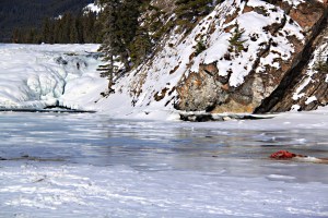 The bright red rib-cage close to the bottom of the iced-up waterfalls