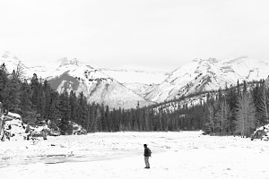 Because of the problems with contrast I did a quick pencil sketch.  Well, OK, I used the photo manipulation software