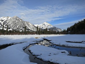 The warm spring water keeps narrow channels open snaking downstream through the thick ice 