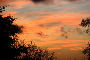 ... and then bands of gold appeared