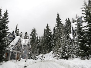 A Christmas card look to the road where we are staying in Whistler