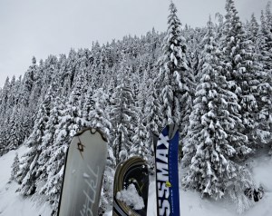 Skis slotted in the outside of the gondola passing trees heavily laden with fresh snow