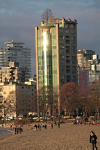 At the west end of English Bay, Tower-top Tree