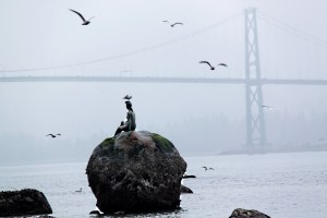 'Girl in wetsuit' keeping an eye on Lions' Gate Bridge