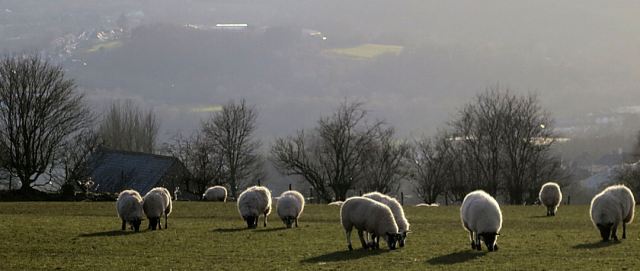 .... but it's nice to have the sun on your back even for a few minutes at the end of the day