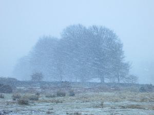 17.35 the snow is now looking good