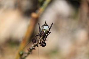 From another, more personal angle