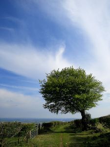 ... and when I arrived back