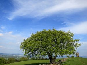 .... and when I got back