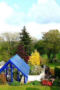 Looking towards the acer planting from the balcony