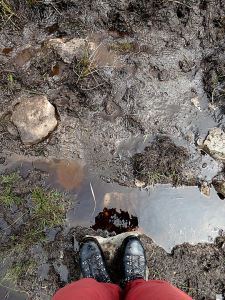 Not even the muddy bits put me off