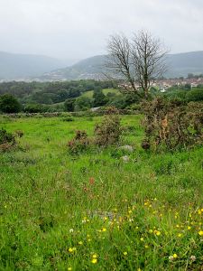 Getting lower into the ridge-top fields, and to the west another rain shower chokes a side-valley