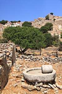 Olive press complete with grinding stone just left behind