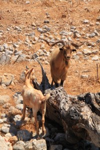 Hey, you!  I'm Big Billy, aren't I impressive