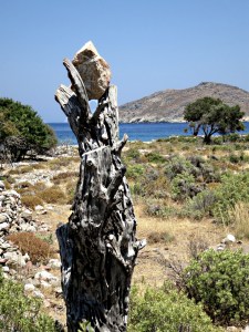 Some creative person wedged this big stone in a dead olive tree at the side of the final section of path to Lethra Beach.