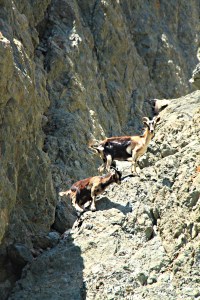 Mother takes one of the kids for an amble up the crag