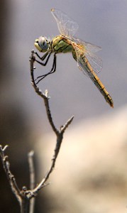 At the highest point on an arid mountain