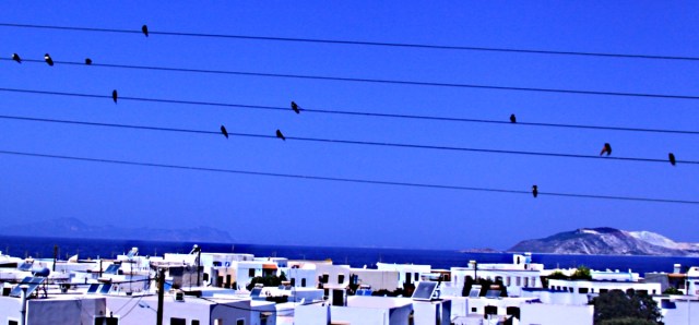 And another balcony, swallows like notes on a line of music