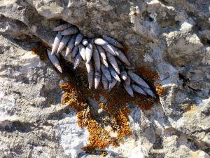 Not on the beach but close to the top of a mountain