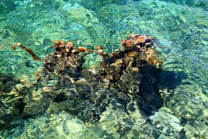 Art is where you find it