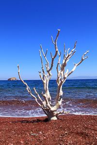 Waxing creative while drying off in the sun