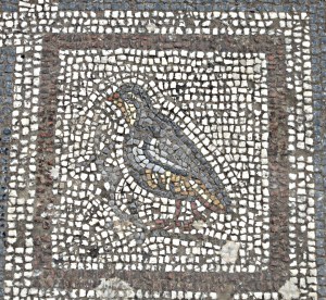 Ancient floor mosaic of the now much persecuted rock partridge
