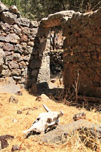 Enclosed courtyard outside more substantial houses