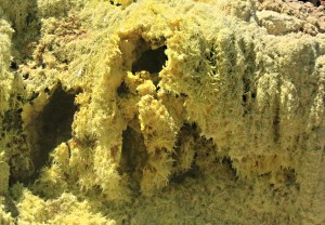 ... and there are lots of them