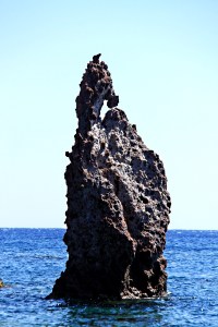 Zooming in on one of the dragons