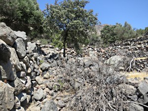 ... and increasingly blocked by collapses and aggressive vegetatio