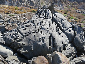 .... or shooting upwards out of the ground