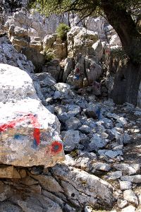 Paint marks the route up the crag