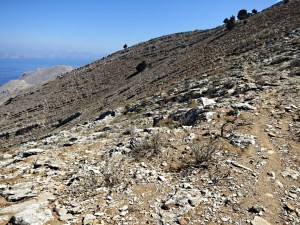 The beginning of the goat path