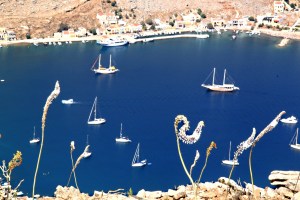 View of Pedi Bay through the squill on the top of the ridge