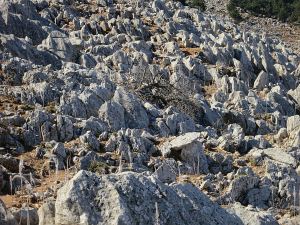 Part of the boulderfield which the path picks a way through