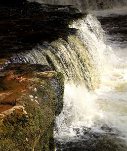 Autumn leaves and water coloured by sediment