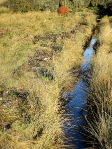 Oh Bouy! (in Englsih Pronounced 'boy', not 'Boo Ee'