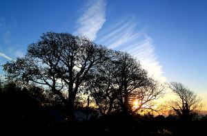 Sunrise from my bedroom window