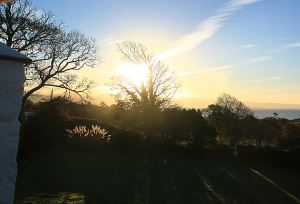 A golden glow promises a good day ahead