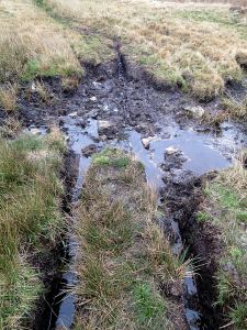 One of the areas where ilegal off-road vehicles have cut though the peat and created mire
