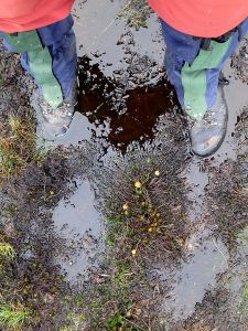 Over my boots but in places the mire was half way up my calf