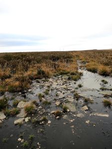 The level path along the east-west ridge towards the telecom masts